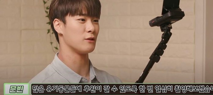 Youtube@SBS TV동물농장x애니멀봐