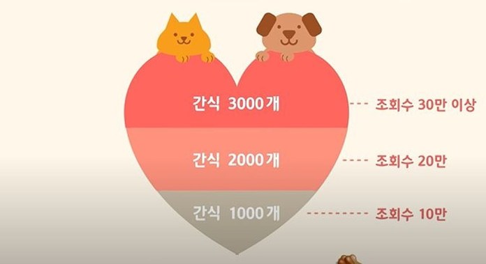 Youtube@SBS TV동물농장x애니멀봐