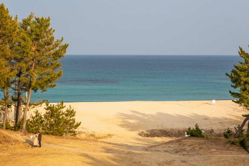월송정에서 바라본 풍경. 하얀 모래와 파란 바다가 조화를 이루고 있다