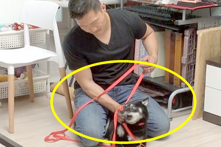 “성공한 사람, 역시 달라..” 강형욱과 오은영의 복붙 수준 교육법