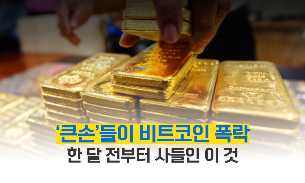 ‘큰손’들이 비트코인 폭락 한 달 전부터 사들인 이 것