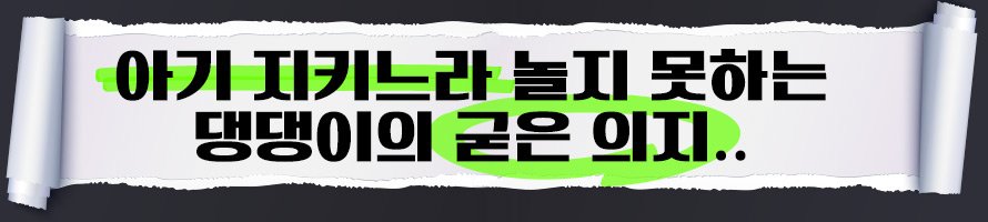 “우리가 지켜줄게” 아가 집사 보디가드 하겠다고 나선 허스키 형아들