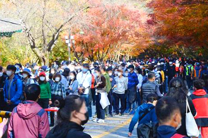 출처 : 한국일보