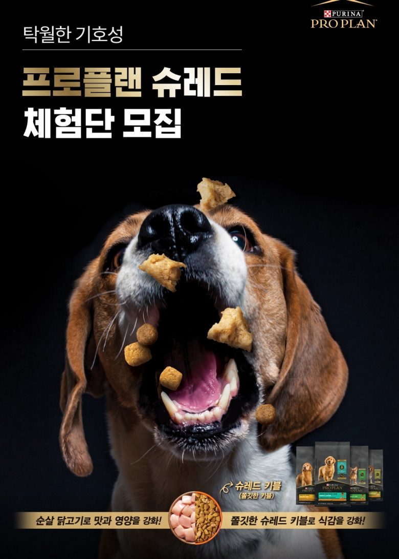 [네슬레 퓨리나 제공]