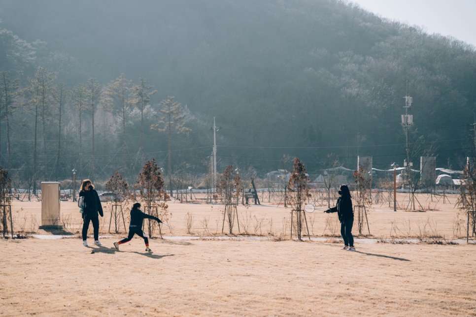 국내 겨울 여행지 추천 :: 대전, 봄이 오면 생각날 거예요