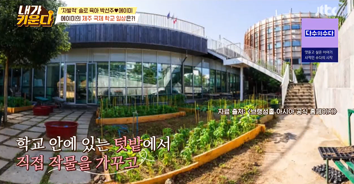 JTBC 내가 키운다