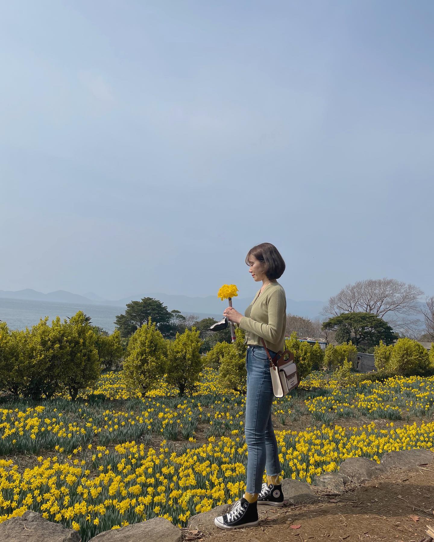 3-4월에 방문하면 계단식 다랭이 논밭에 노란 수선화가 가득하다.