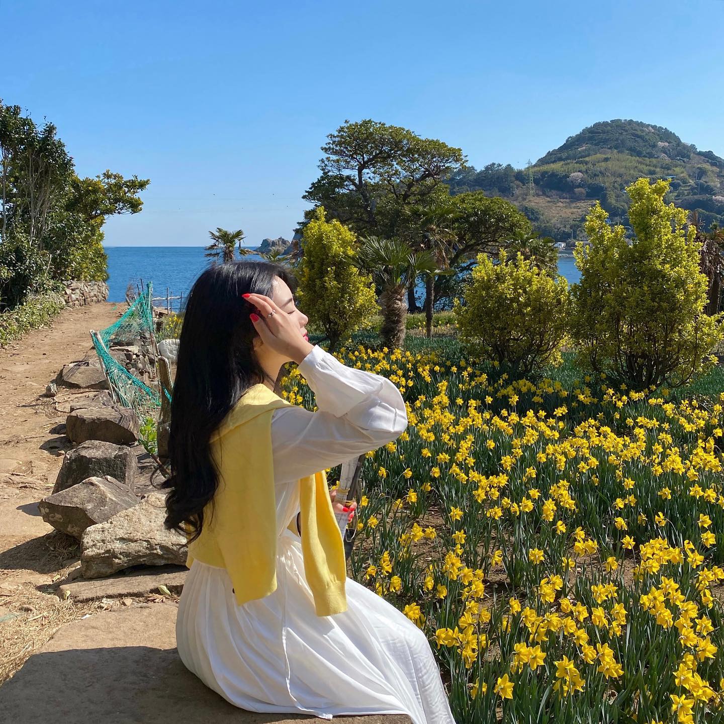 탁 트인 푸른 바다를 배경으로 노란 수선화 꽃밭이 가득 메운 공곶지. 