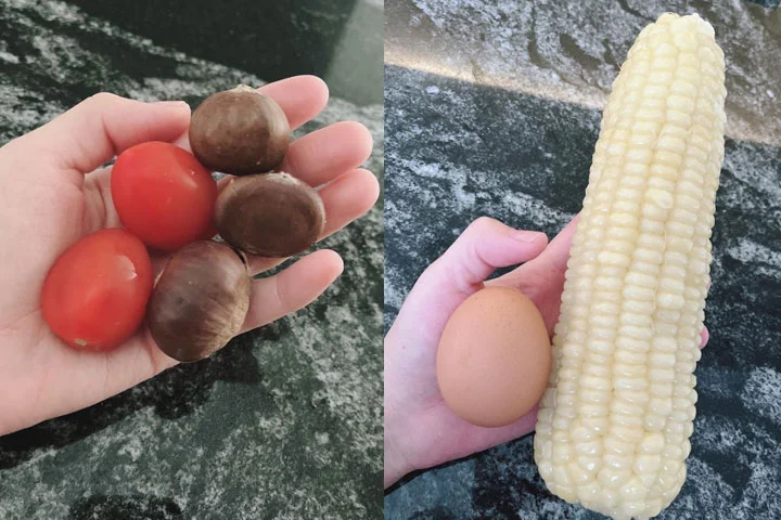 인스타그램
