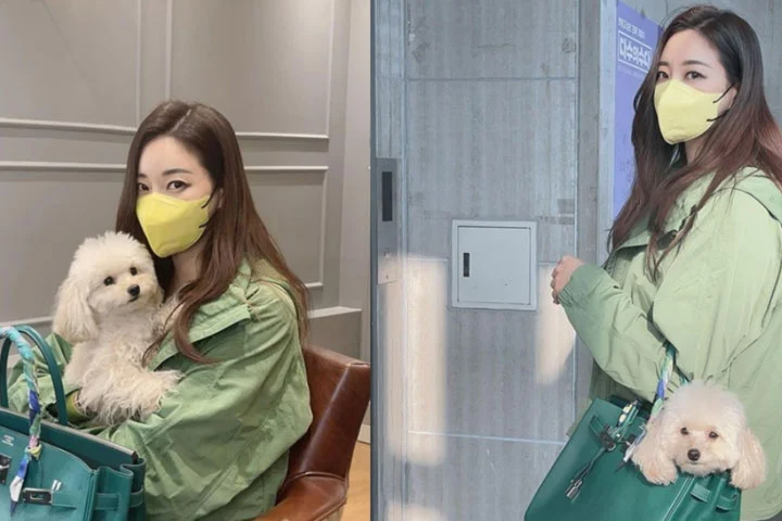 인스타그램