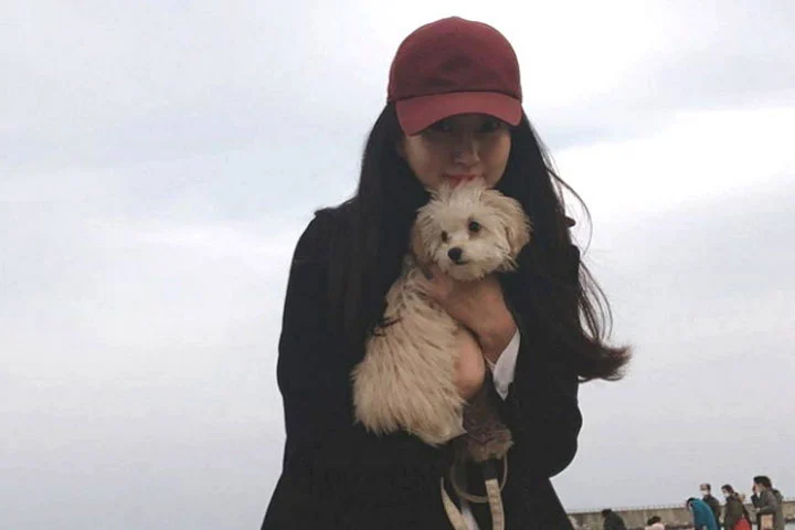 인스타그램