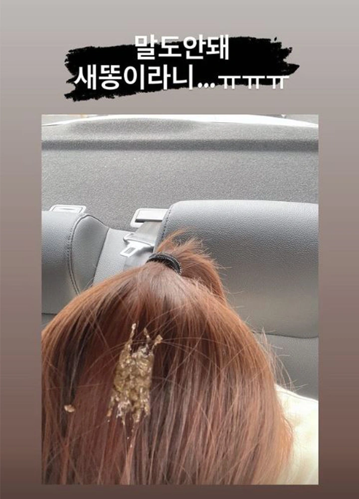 출처: instagram@miyoun_kan