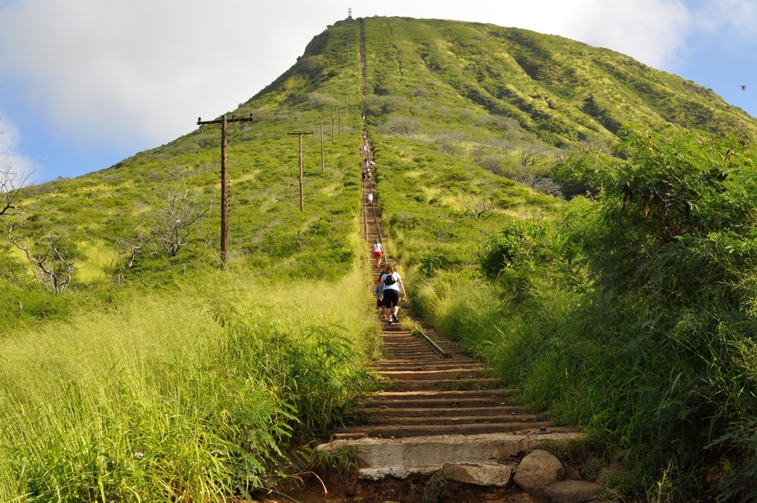 코코헤드 정상까지 이어진 계단을 보여주는 등산로를 찍은 사진