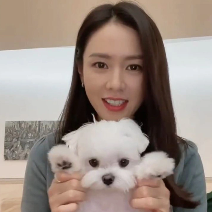 출처: instagram@yejinhand