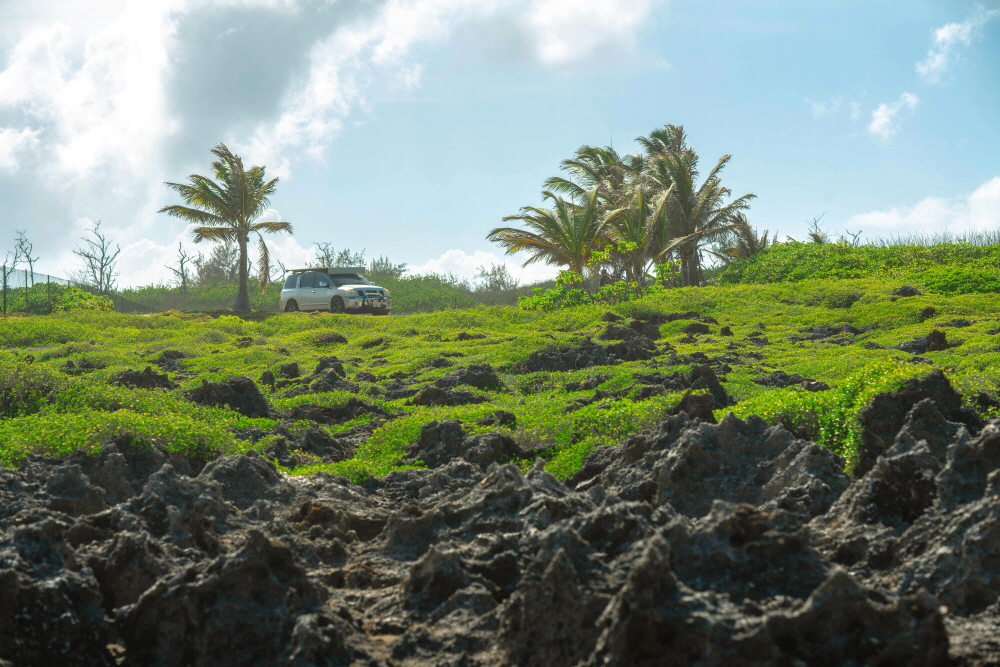블로우 홀로 가는 길은 구멍이 숭숭 뚫린 돌 바위를 걸어야 한다. 초록색 정글 아니면 바다가 전부인 섬의 풍경