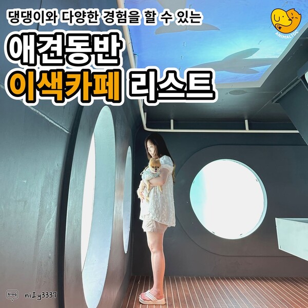 "한국에 이런 곳이 있었어?"...반려견과 이색체험이 가능한 카페 추천 (+꿀팁)