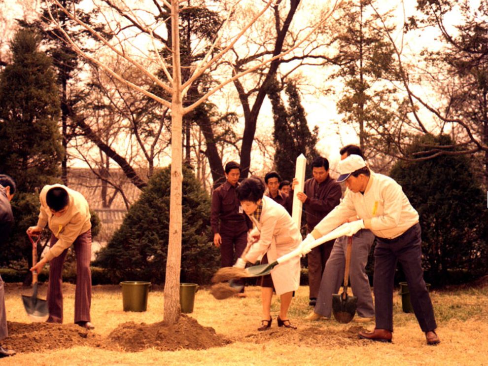 조선일보