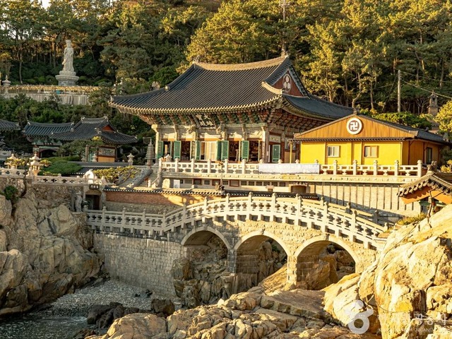 월드항공여행사주 이미지