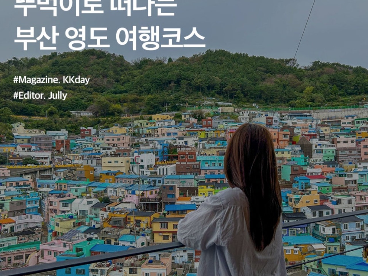 오아시스여행사주 이미지