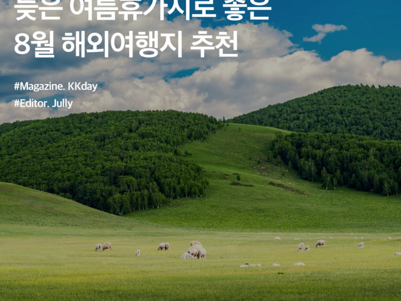 K마젤란투어 이미지
