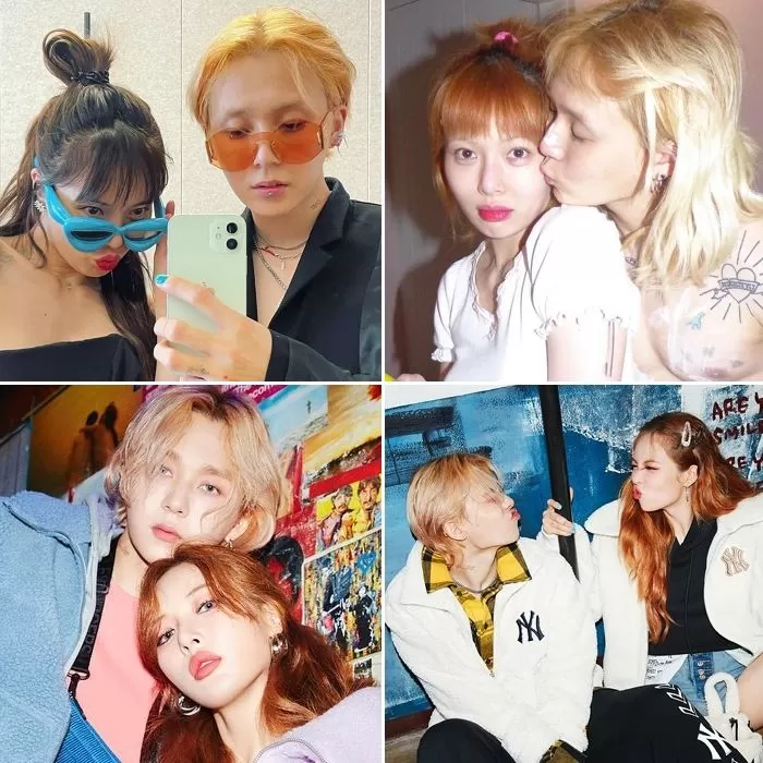인사이트