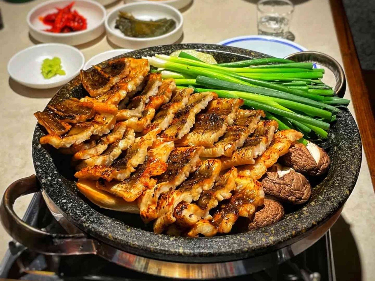 주 세계장어 이미지