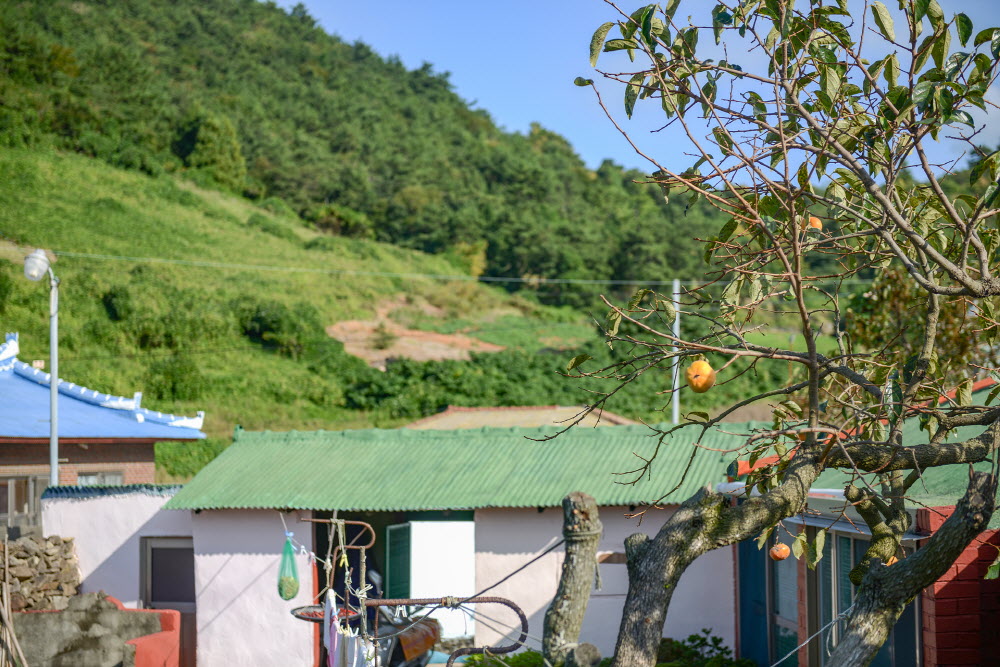 개도사람길을 걷다 보면 곳곳에서 가을 정취를 만나게 된다