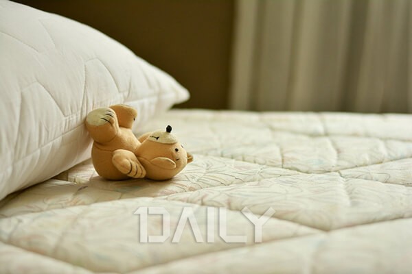 잠 재워주고 5만원? 특별한 직업 10가지