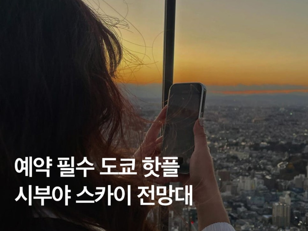 오렌지여행사주 이미지