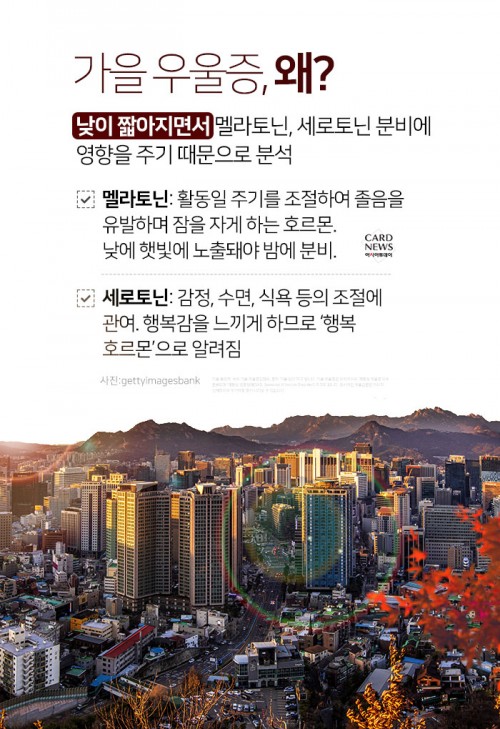 아시아투데이
