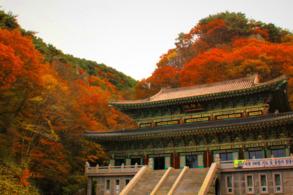 천왕사 가을 단풍 