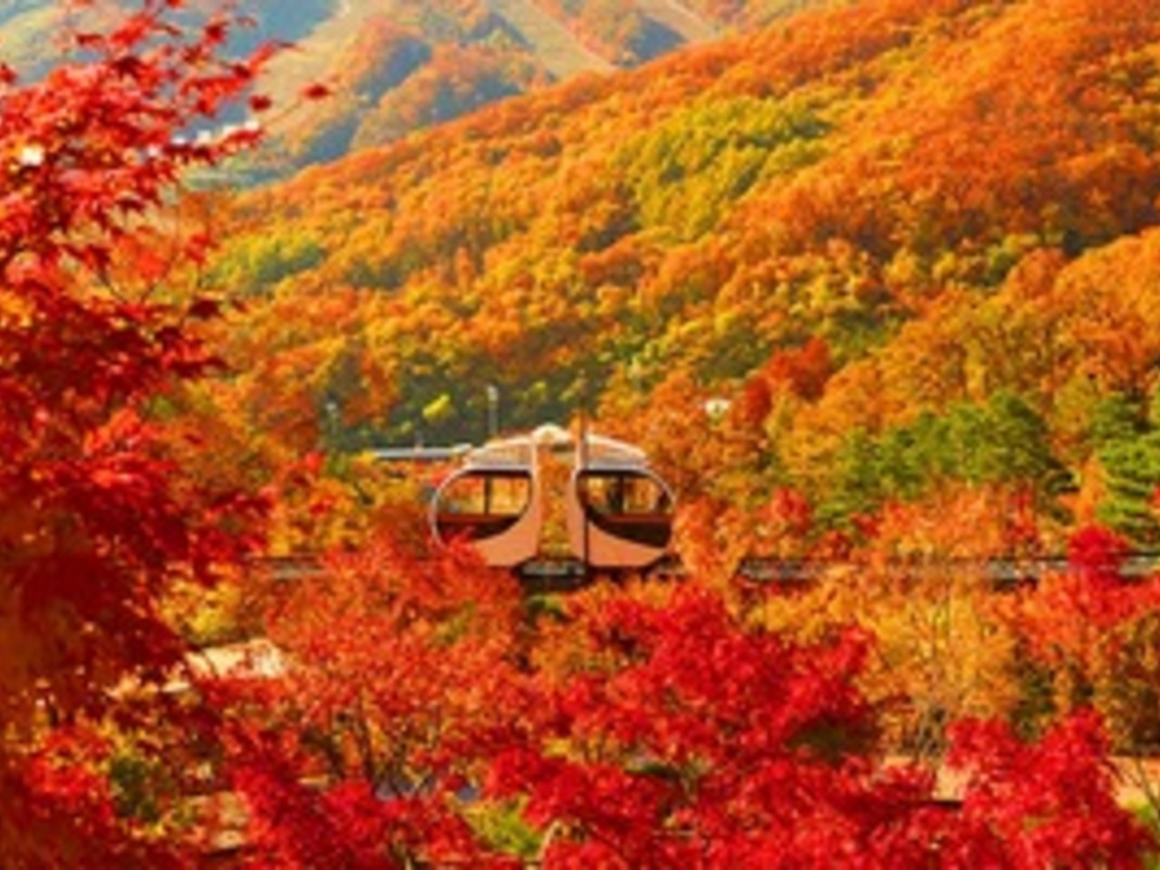 석순푸드 이미지