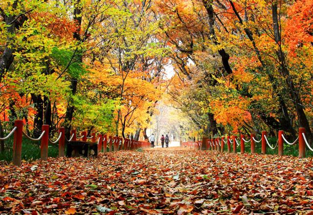 한국일보