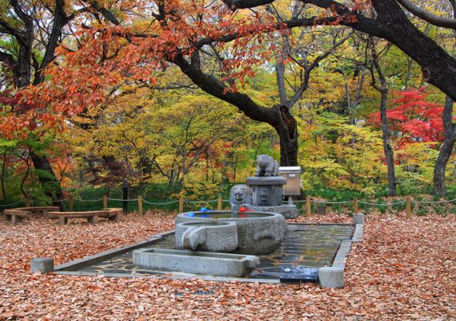 한국일보