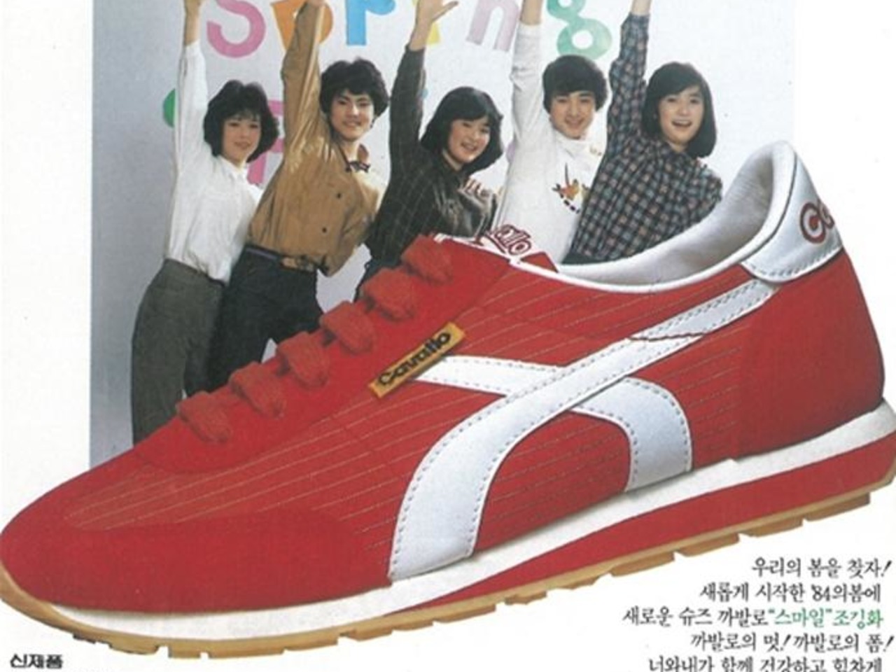 대양해외여행사주 이미지