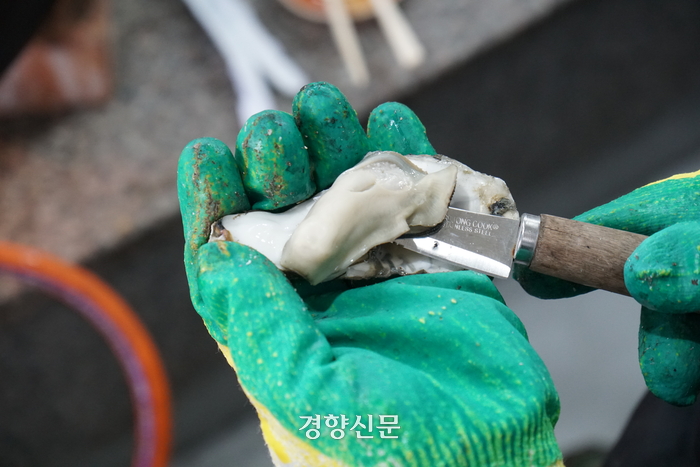 경향신문