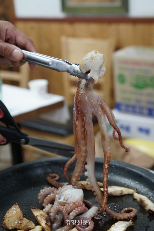경향신문