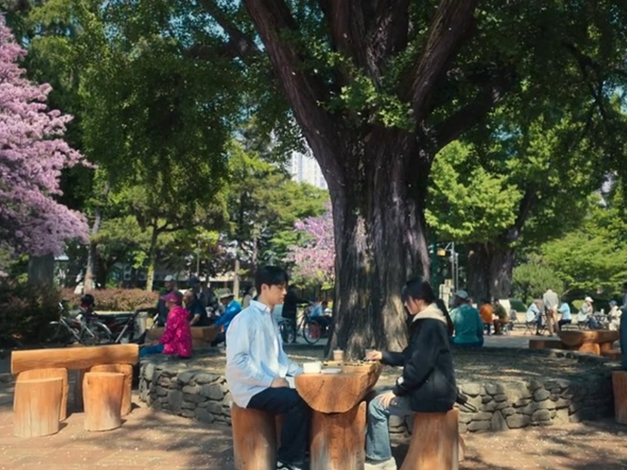 대전관광여행사주 이미지
