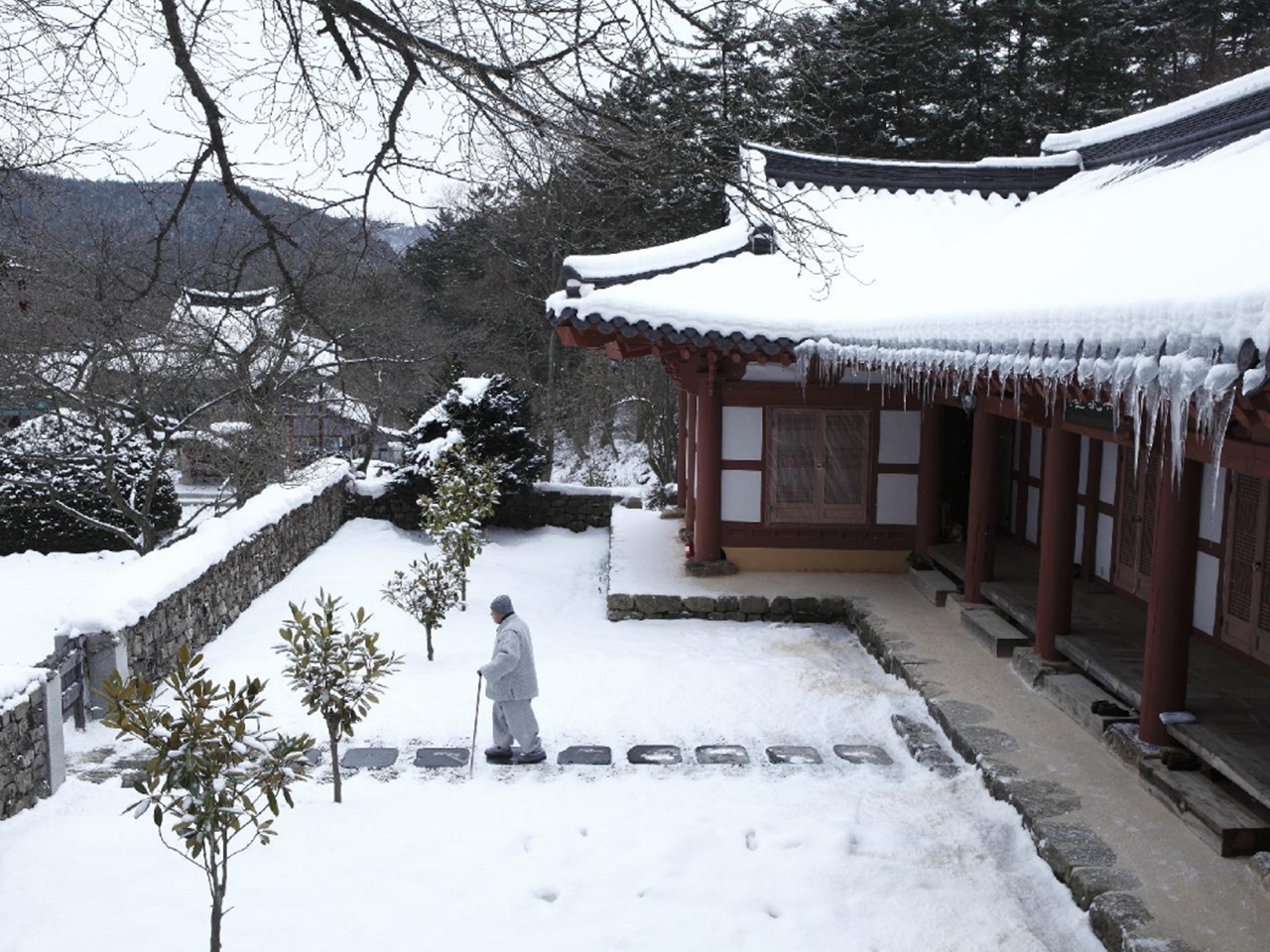 백년전젓갈 이미지