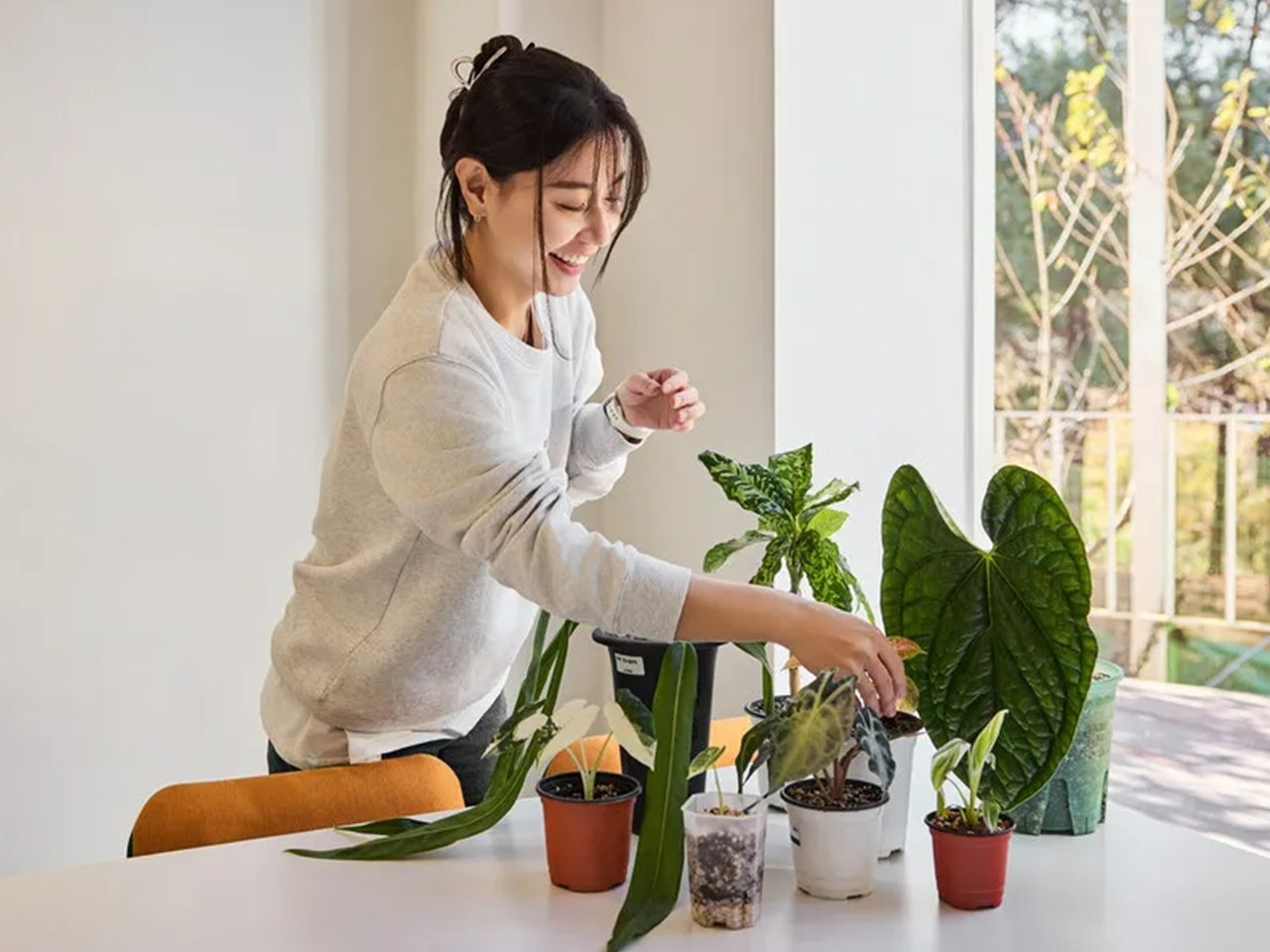 스튜디오그라씨 이미지