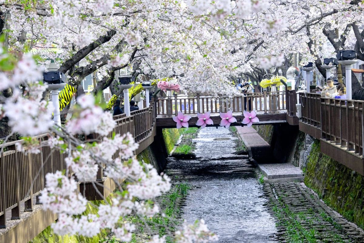 여좌천 로망스다리