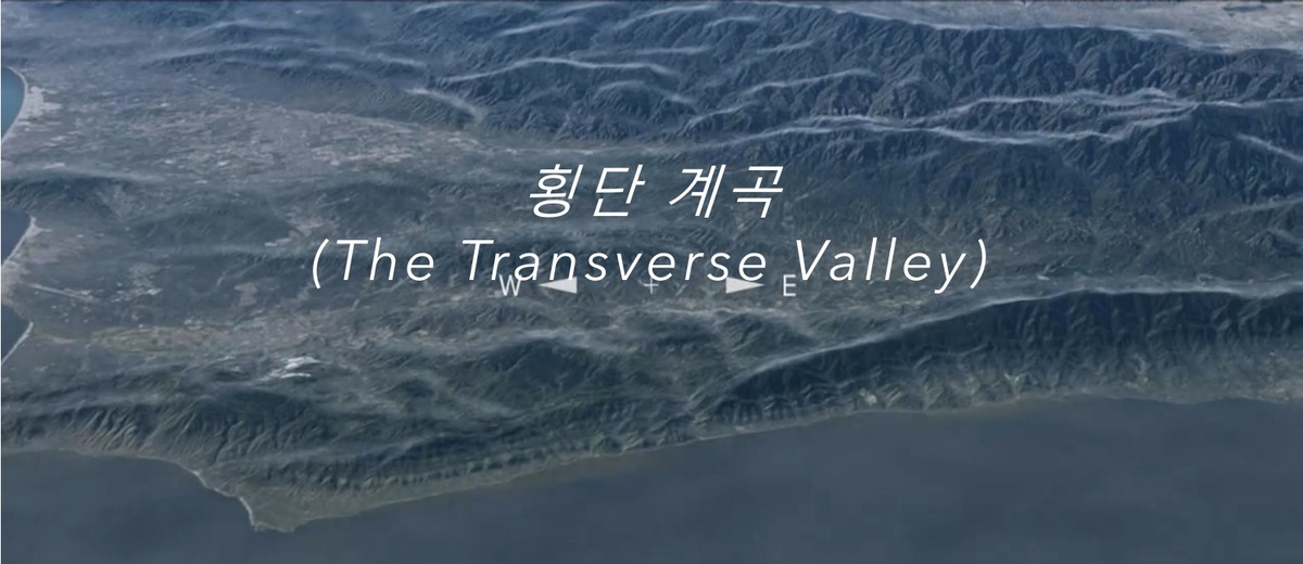세계일보