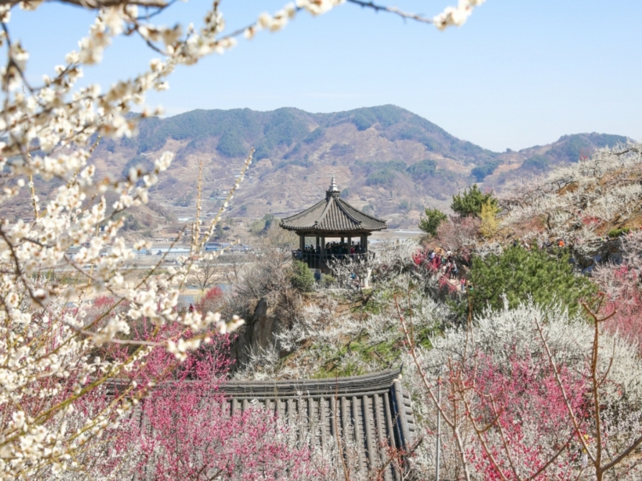 운동장광고기획 이미지