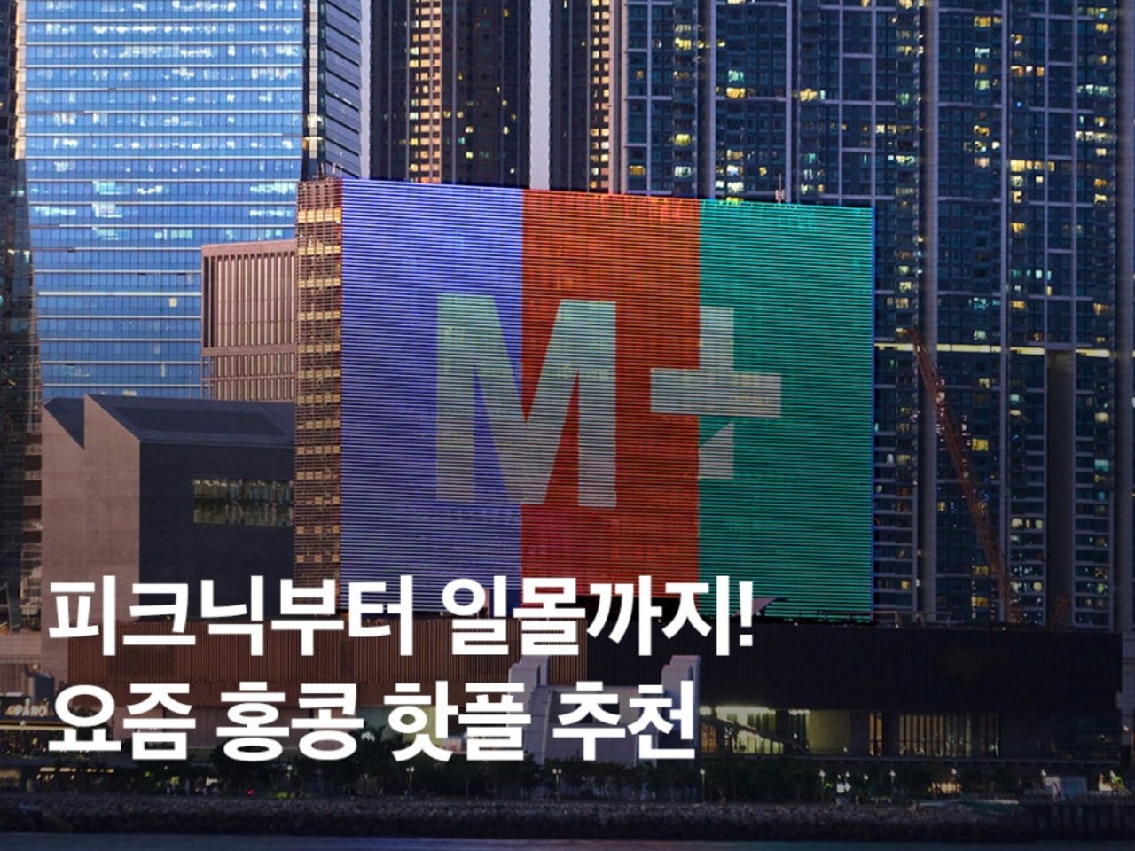 오렌지여행사주 이미지