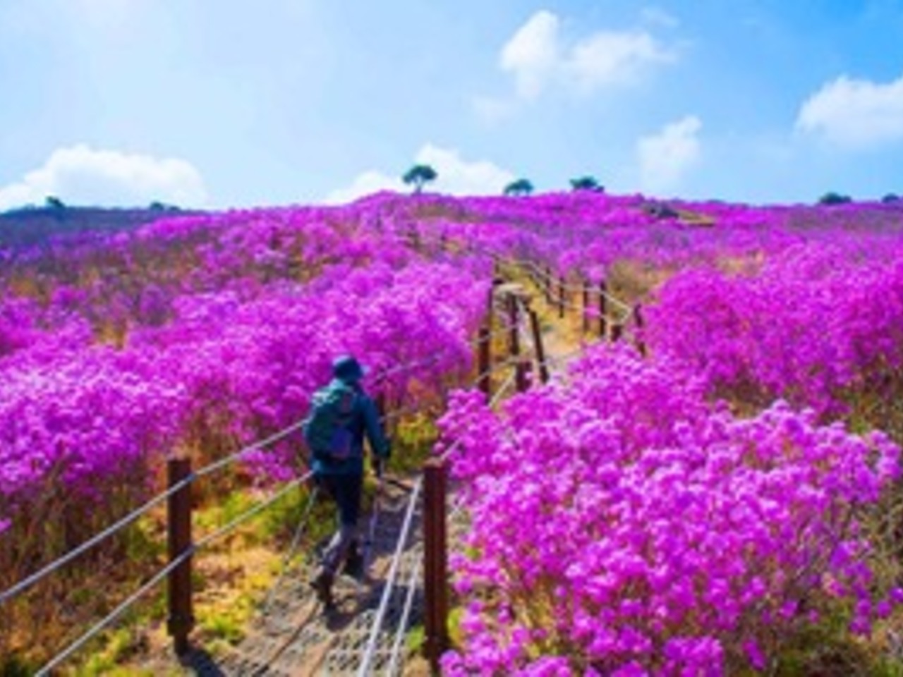 글고운스튜디오 이미지