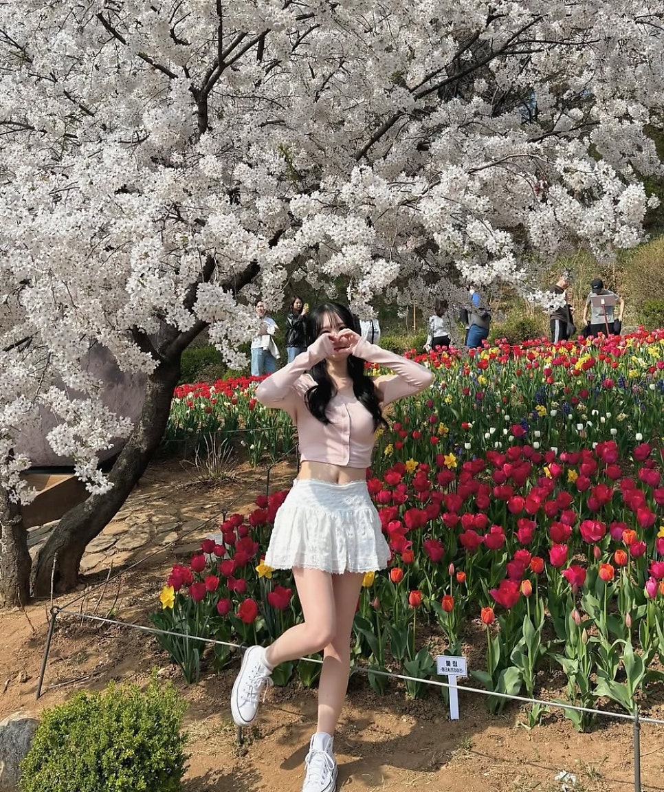 © ha__ni_s2