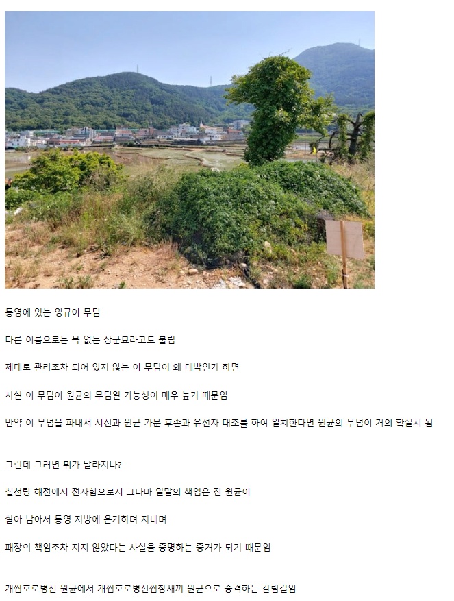 발굴하면 대박 가능성이 높다는 한국 무덤