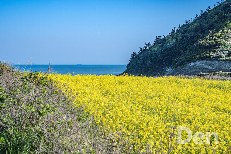 장산평마을 ⓒ Den