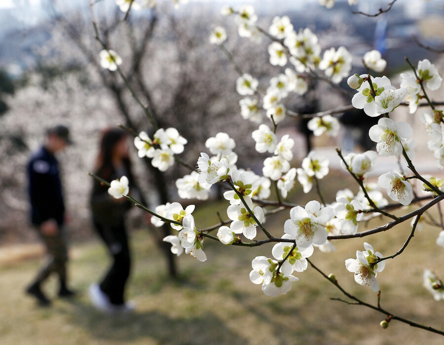 한겨레