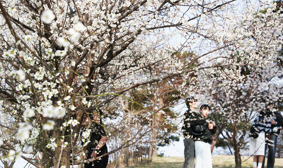 한겨레